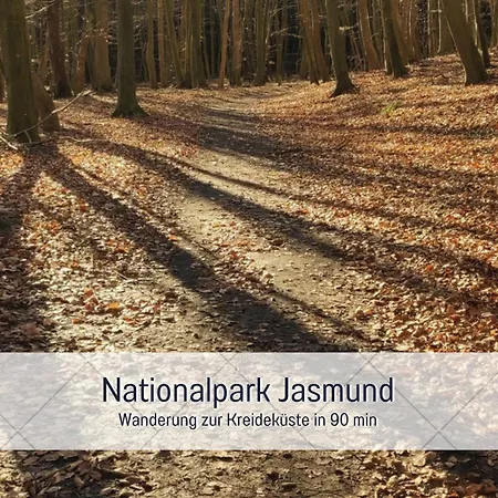 아파트 Budde4 Knut - Early Check-in, Haustier, Extralange Betten